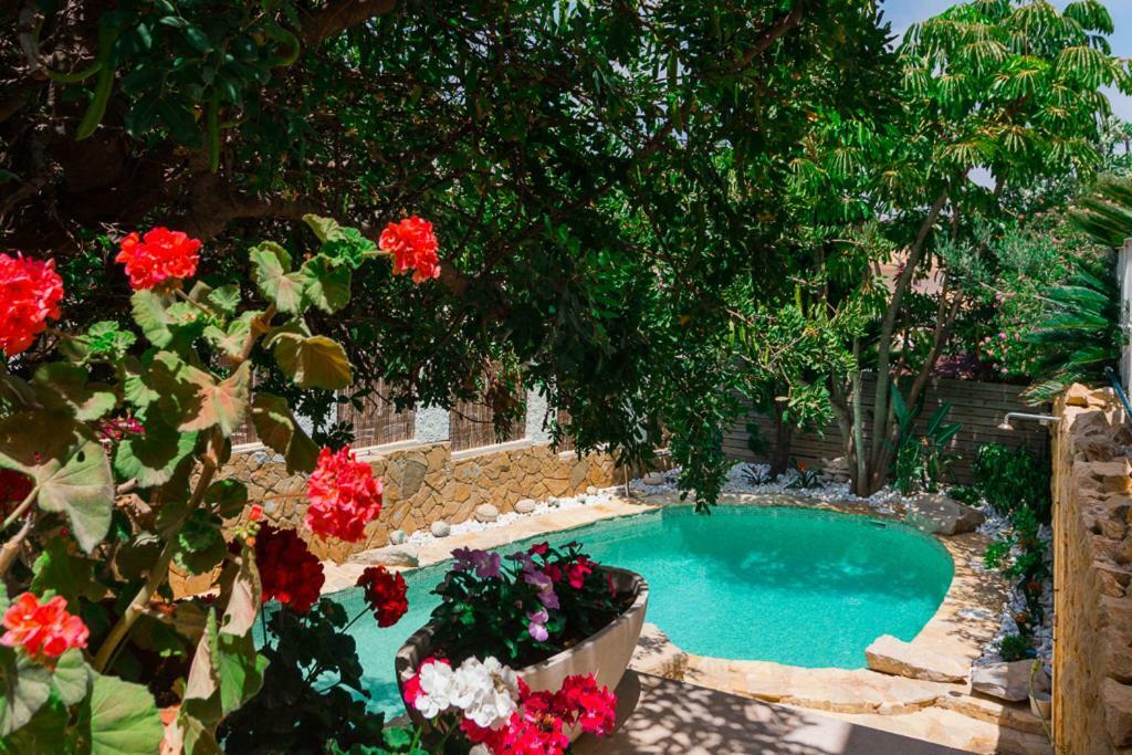 Bright Villa With Salt Water Pool El Campello Ngoại thất bức ảnh